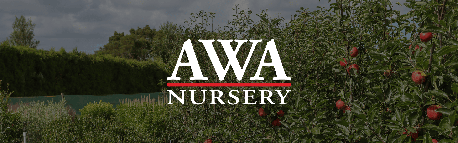 AWA Nursery