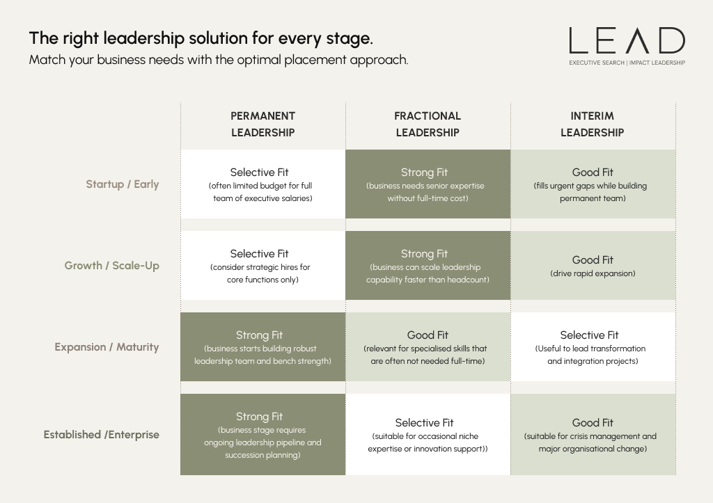 LEAD framework Fractional Interim Executives solutions