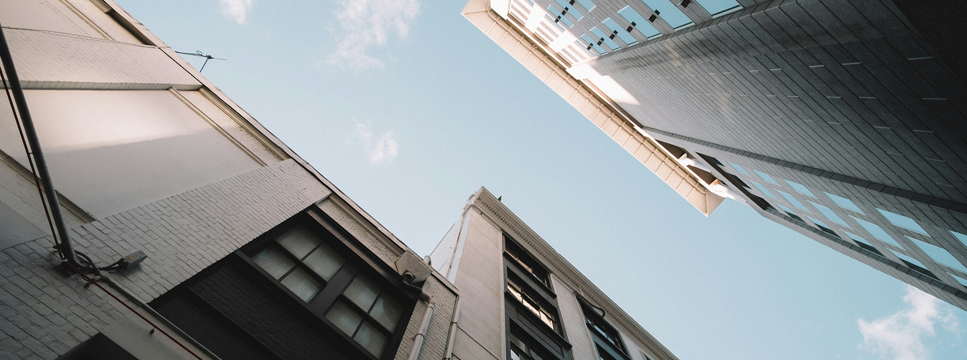 LEAD Executive Search