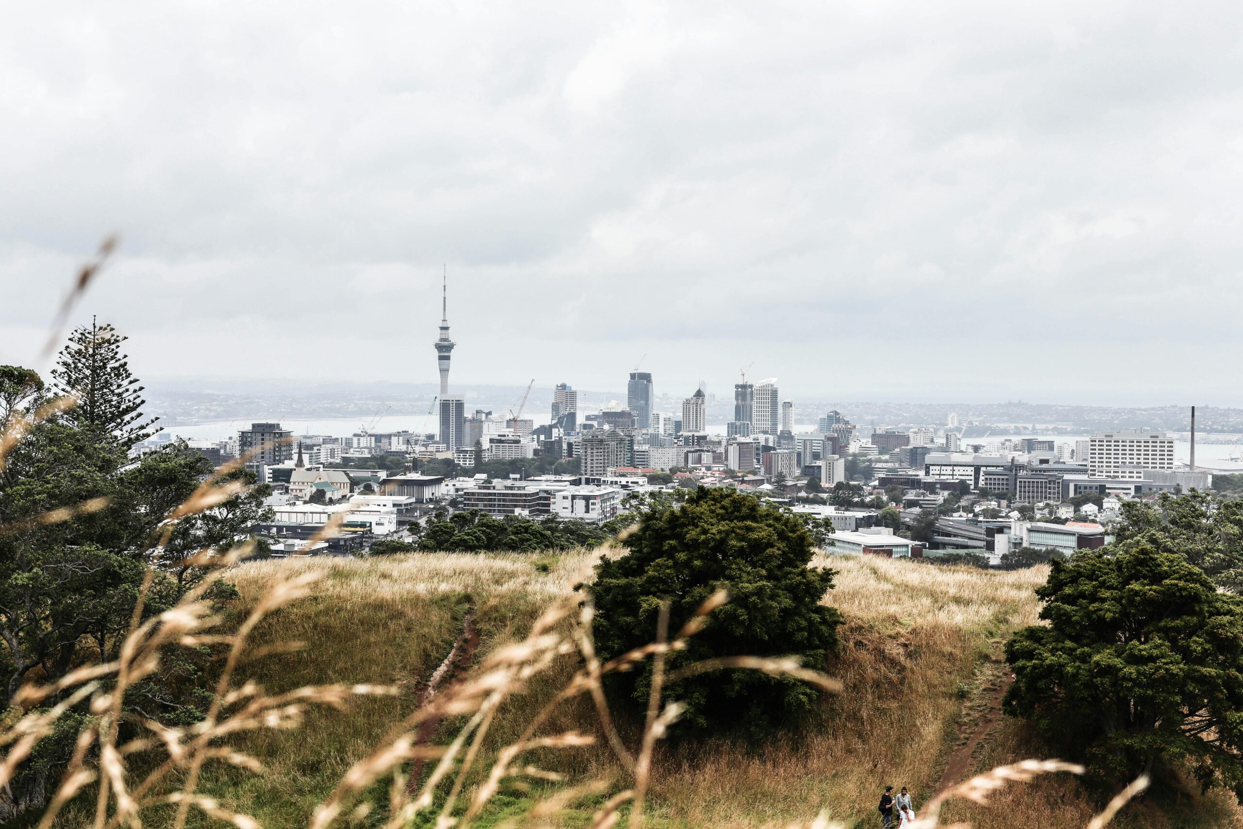 Auckland city view